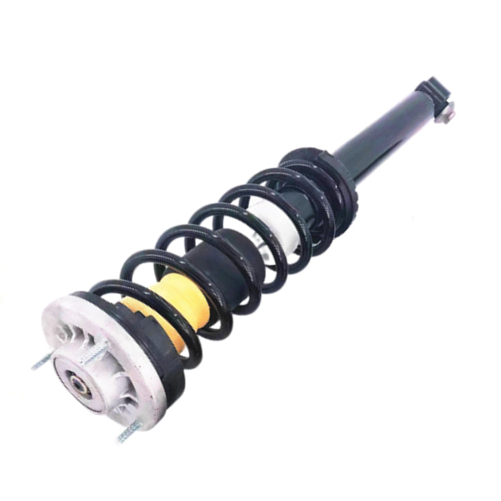 33526784015 33526784019 Rear Shock Absorber Strut Assembly Fit BMW F10 F11 F12 F18 528i 535i 550i